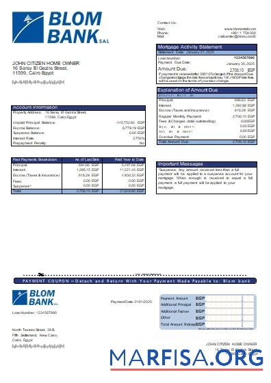 Realistic Egypt Blom Bank of Egypt bank mortgage statement scr real example